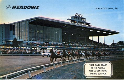 the meadows racetrack results.